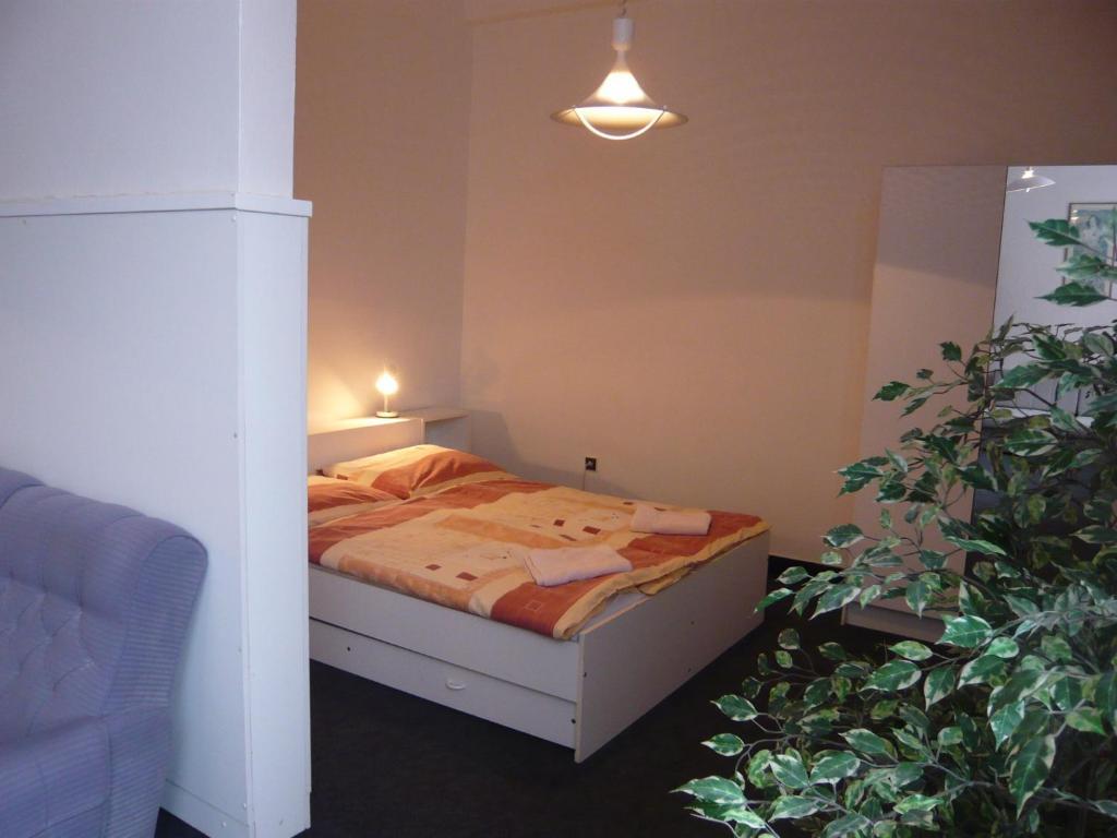 Hotel Hasa Praha Ruang foto